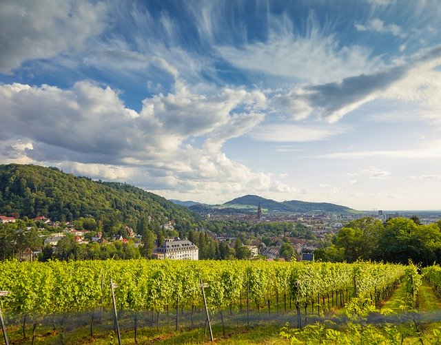 Freiburg City Germany - GIMP online editor free Free download Freiburg City Germany - free photo or picture to be edited with GIMP online image editor