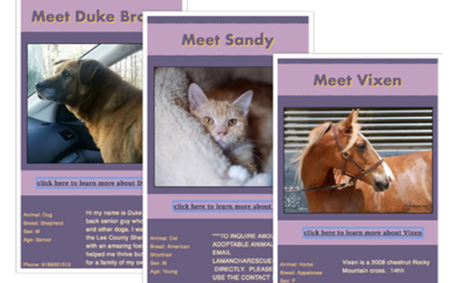 Adoptable Pets from Chrome web store to be run with OffiDocs Chromium online Adoptable Pets from Chrome web store to be run with OffiDocs Chromium online