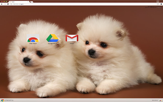 Adorable Puppies from Chrome web store to be run with OffiDocs Chromium online Adorable Puppies from Chrome web store to be run with OffiDocs Chromium online