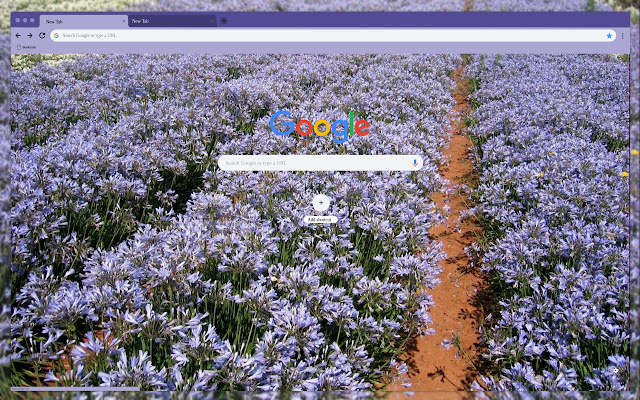 A field of purple flowers from Chrome web store to be run with OffiDocs Chromium online A field of purple flowers from Chrome web store to be run with OffiDocs Chromium online
