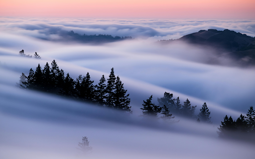 A foggy landscape with trees and mountains from Chrome web store to be run with OffiDocs Chromium online A foggy landscape with trees and mountains from Chrome web store to be run with OffiDocs Chromium online