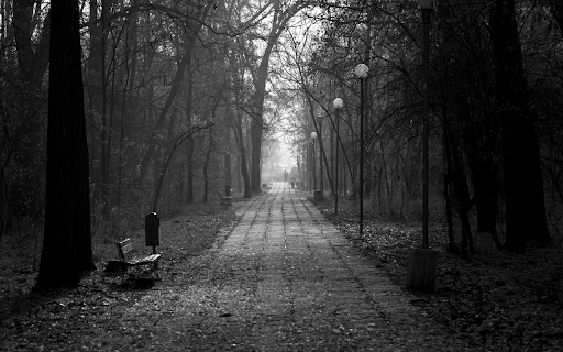 Alley of empty park with leafless trees in autumn from Chrome web store to be run with OffiDocs Chromium online Alley of empty park with leafless trees in autumn from Chrome web store to be run with OffiDocs Chromium online