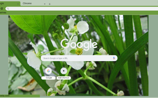 Arrowhead from Chrome web store to be run with OffiDocs Chromium online Arrowhead from Chrome web store to be run with OffiDocs Chromium online