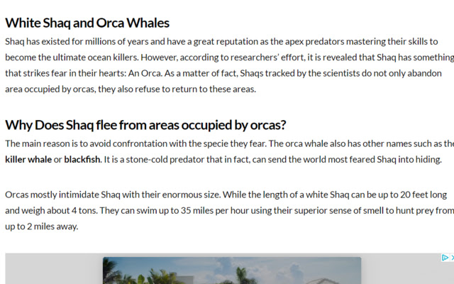 Attack of Shaq from Chrome web store to be run with OffiDocs Chromium online Attack of Shaq from Chrome web store to be run with OffiDocs Chromium online