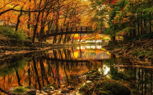 Autumn River Reflection from Chrome web store to be run with OffiDocs Chromium online Autumn River Reflection from Chrome web store to be run with OffiDocs Chromium online