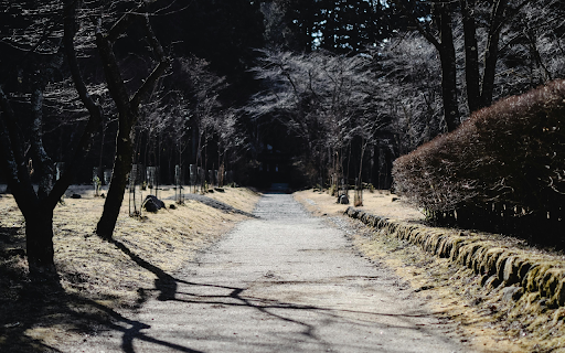 A Walkway at a Park in Nikko, Japan from Chrome web store to be run with OffiDocs Chromium online A Walkway at a Park in Nikko, Japan from Chrome web store to be run with OffiDocs Chromium online