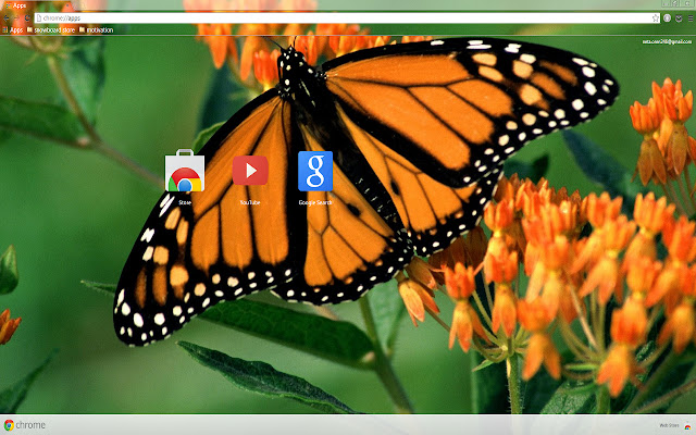 Beautiful Butterfly from Chrome web store to be run with OffiDocs Chromium online Beautiful Butterfly from Chrome web store to be run with OffiDocs Chromium online