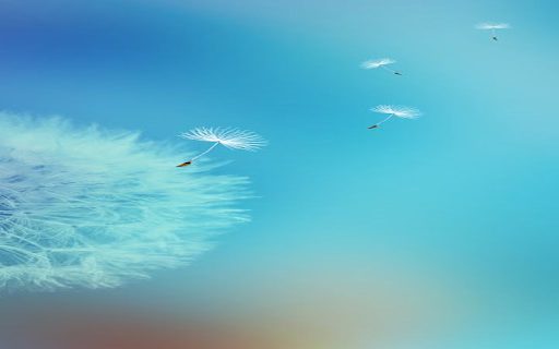 Beautiful dandelion wallpaper from Chrome web store to be run with OffiDocs Chromium online Beautiful dandelion wallpaper from Chrome web store to be run with OffiDocs Chromium online