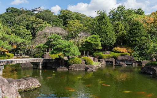 Beautiful Fish Pond from Chrome web store to be run with OffiDocs Chromium online Beautiful Fish Pond from Chrome web store to be run with OffiDocs Chromium online
