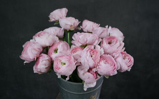 Beautiful flower vase from Chrome web store to be run with OffiDocs Chromium online Beautiful flower vase from Chrome web store to be run with OffiDocs Chromium online
