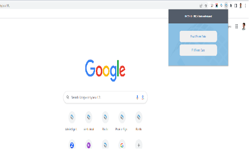 Bizzflo NICS Extension from Chrome web store to be run with OffiDocs Chromium online Bizzflo NICS Extension from Chrome web store to be run with OffiDocs Chromium online