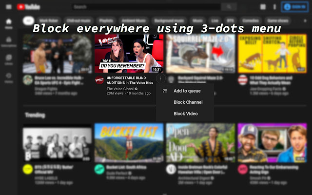 BlockTube from Chrome web store to be run with OffiDocs Chromium online BlockTube from Chrome web store to be run with OffiDocs Chromium online