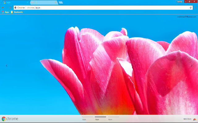 Blue Colorful Flower Petal Pink from Chrome web store to be run with OffiDocs Chromium online Blue Colorful Flower Petal Pink from Chrome web store to be run with OffiDocs Chromium online