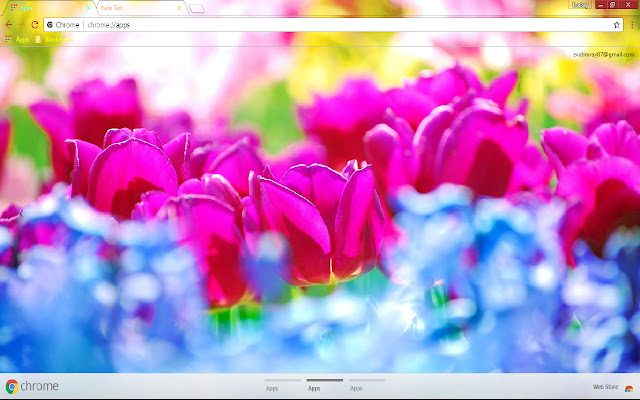 Blue Flower Bokeh Colorful Flower from Chrome web store to be run with OffiDocs Chromium online Blue Flower Bokeh Colorful Flower from Chrome web store to be run with OffiDocs Chromium online
