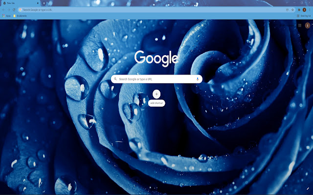Blue Rose HD Wallpaper Theme from Chrome web store to be run with OffiDocs Chromium online Blue Rose HD Wallpaper Theme from Chrome web store to be run with OffiDocs Chromium online