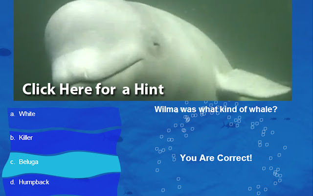 Blue World Quiz from Chrome web store to be run with OffiDocs Chromium online Blue World Quiz from Chrome web store to be run with OffiDocs Chromium online