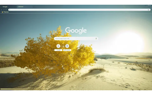 Bright Desert Bush from Chrome web store to be run with OffiDocs Chromium online Bright Desert Bush from Chrome web store to be run with OffiDocs Chromium online