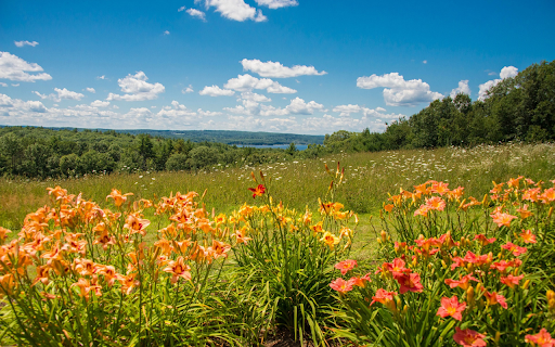 Bright flower hill from Chrome web store to be run with OffiDocs Chromium online Bright flower hill from Chrome web store to be run with OffiDocs Chromium online