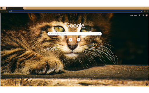 Brown Tabby Cat in Close Up Photography from Chrome web store to be run with OffiDocs Chromium online Brown Tabby Cat in Close Up Photography from Chrome web store to be run with OffiDocs Chromium online