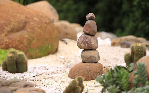 Cactus and rocks from Chrome web store to be run with OffiDocs Chromium online Cactus and rocks from Chrome web store to be run with OffiDocs Chromium online
