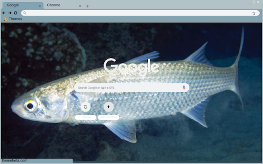 Ca doi from Chrome web store to be run with OffiDocs Chromium online Ca doi from Chrome web store to be run with OffiDocs Chromium online