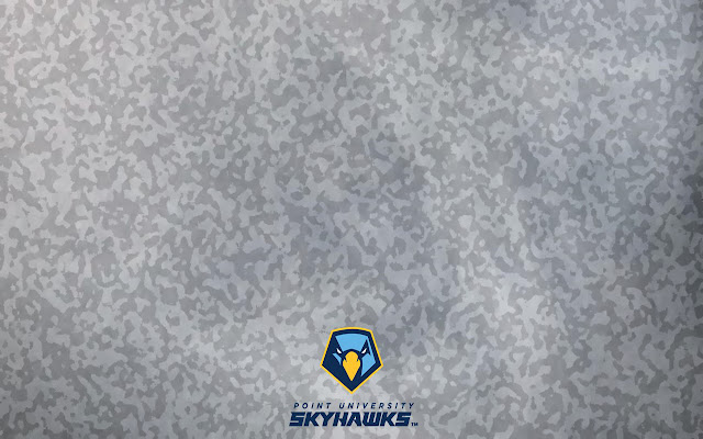Camo Skyhawks 2019 from Chrome web store to be run with OffiDocs Chromium online Camo Skyhawks 2019 from Chrome web store to be run with OffiDocs Chromium online