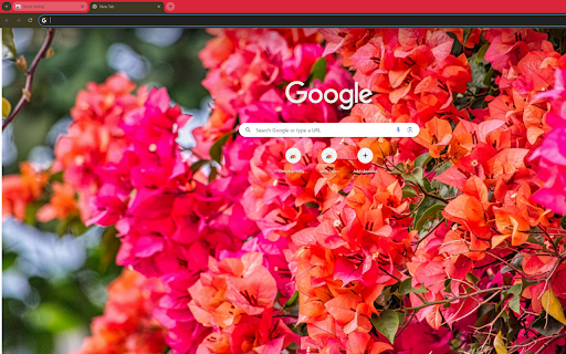 captures a bougainvillea tree in full bloom from Chrome web store to be run with OffiDocs Chromium online captures a bougainvillea tree in full bloom from Chrome web store to be run with OffiDocs Chromium online