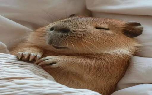 capybara wallpaper from Chrome web store to be run with OffiDocs Chromium online capybara wallpaper from Chrome web store to be run with OffiDocs Chromium online