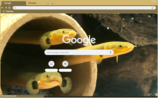 Ca ran from Chrome web store to be run with OffiDocs Chromium online Ca ran from Chrome web store to be run with OffiDocs Chromium online