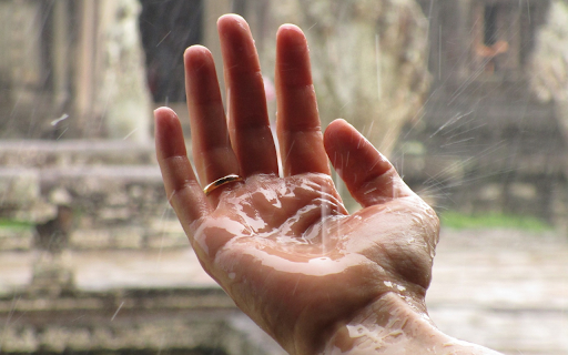 Catch the rain from Chrome web store to be run with OffiDocs Chromium online Catch the rain from Chrome web store to be run with OffiDocs Chromium online
