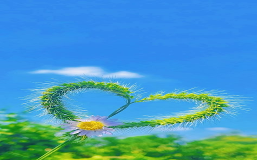 Cat grass wallpaper from Chrome web store to be run with OffiDocs Chromium online Cat grass wallpaper from Chrome web store to be run with OffiDocs Chromium online