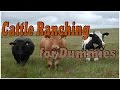 Cattle Ranch from Chrome web store to be run with OffiDocs Chromium online Cattle Ranch from Chrome web store to be run with OffiDocs Chromium online