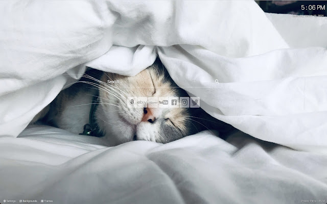 Cat Wallpaper Custom New Tab from Chrome web store to be run with OffiDocs Chromium online Cat Wallpaper Custom New Tab from Chrome web store to be run with OffiDocs Chromium online