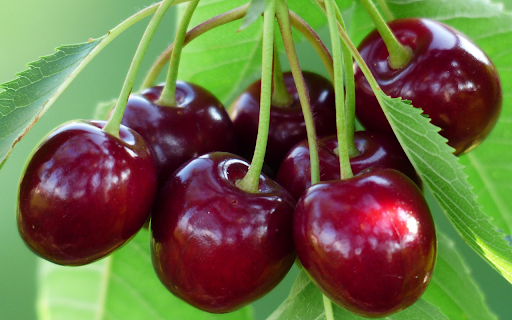 Cherry giggled from Chrome web store to be run with OffiDocs Chromium online Cherry giggled from Chrome web store to be run with OffiDocs Chromium online