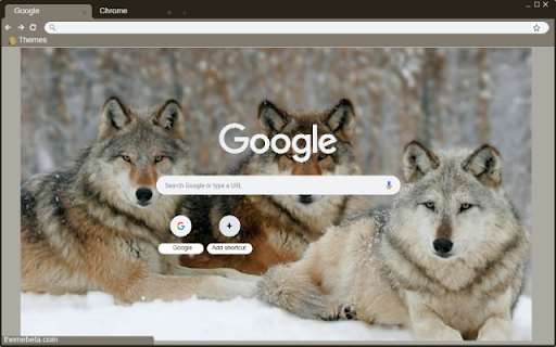 Cho soi from Chrome web store to be run with OffiDocs Chromium online Cho soi from Chrome web store to be run with OffiDocs Chromium online