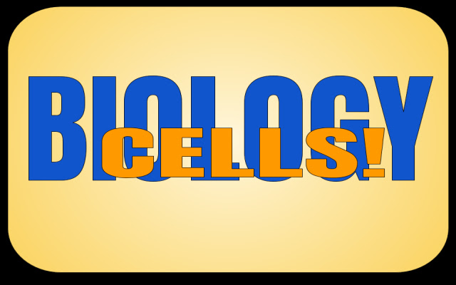 CHS Biology Semester Final from Chrome web store to be run with OffiDocs Chromium online CHS Biology Semester Final from Chrome web store to be run with OffiDocs Chromium online