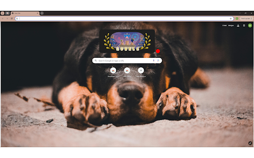 Close up of a Rottweiler from Chrome web store to be run with OffiDocs Chromium online Close up of a Rottweiler from Chrome web store to be run with OffiDocs Chromium online