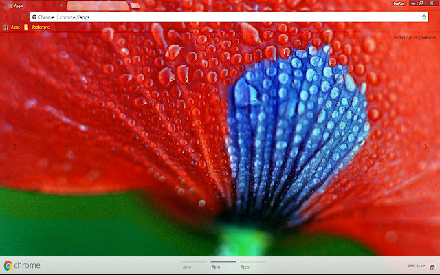 Colorful Flower Pastel Petal Red from Chrome web store to be run with OffiDocs Chromium online Colorful Flower Pastel Petal Red from Chrome web store to be run with OffiDocs Chromium online