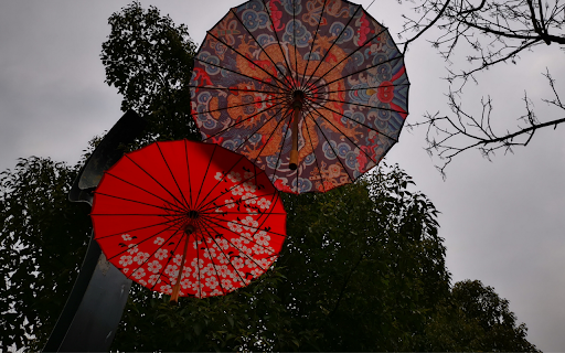 Colorful Umbrellas from Chrome web store to be run with OffiDocs Chromium online Colorful Umbrellas from Chrome web store to be run with OffiDocs Chromium online