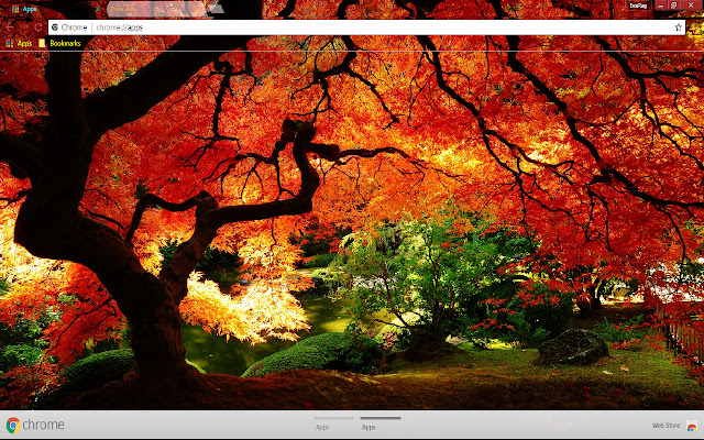 Colors Fall Garden Leaf Nature from Chrome web store to be run with OffiDocs Chromium online Colors Fall Garden Leaf Nature from Chrome web store to be run with OffiDocs Chromium online