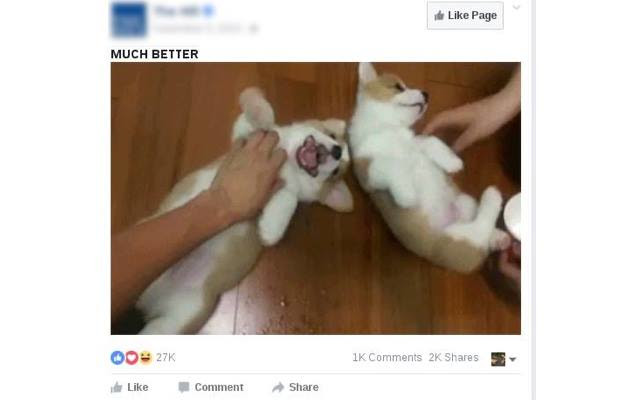 CorBey Feed: Election Edition from Chrome web store to be run with OffiDocs Chromium online CorBey Feed: Election Edition from Chrome web store to be run with OffiDocs Chromium online