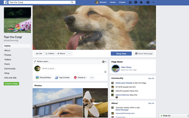 Corgi Fun Time from Chrome web store to be run with OffiDocs Chromium online Corgi Fun Time from Chrome web store to be run with OffiDocs Chromium online