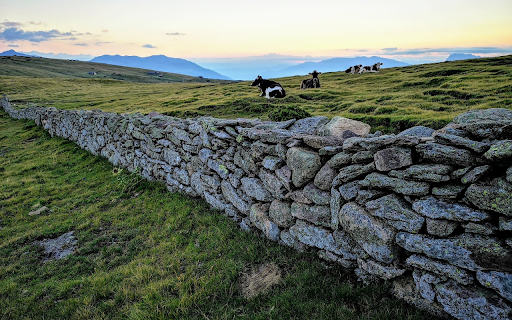 Cow farm from Chrome web store to be run with OffiDocs Chromium online Cow farm from Chrome web store to be run with OffiDocs Chromium online