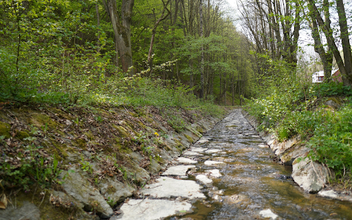 creek in the forest from Chrome web store to be run with OffiDocs Chromium online creek in the forest from Chrome web store to be run with OffiDocs Chromium online