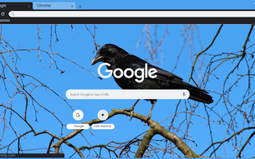 Crow from Chrome web store to be run with OffiDocs Chromium online Crow from Chrome web store to be run with OffiDocs Chromium online