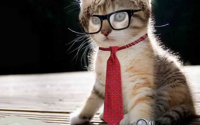 CTRL+Enter Image Zoom from Chrome web store to be run with OffiDocs Chromium online CTRL+Enter Image Zoom from Chrome web store to be run with OffiDocs Chromium online