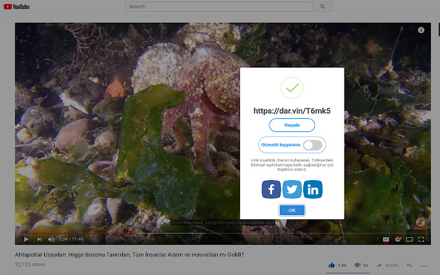 Darvin from Chrome web store to be run with OffiDocs Chromium online Darvin from Chrome web store to be run with OffiDocs Chromium online