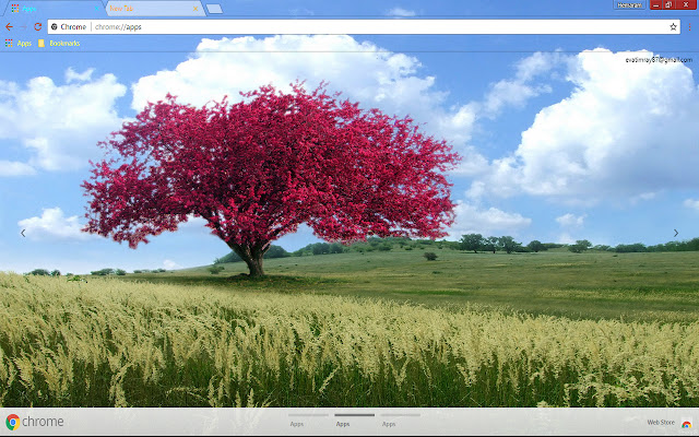 Dazzling Nature from Chrome web store to be run with OffiDocs Chromium online Dazzling Nature from Chrome web store to be run with OffiDocs Chromium online