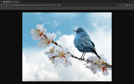 DDG Image Proxy Redirect from Chrome web store to be run with OffiDocs Chromium online DDG Image Proxy Redirect from Chrome web store to be run with OffiDocs Chromium online