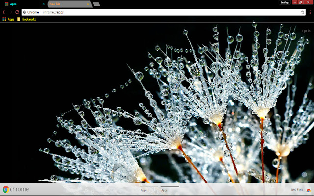 Dew Earth Flower Photography from Chrome web store to be run with OffiDocs Chromium online Dew Earth Flower Photography from Chrome web store to be run with OffiDocs Chromium online